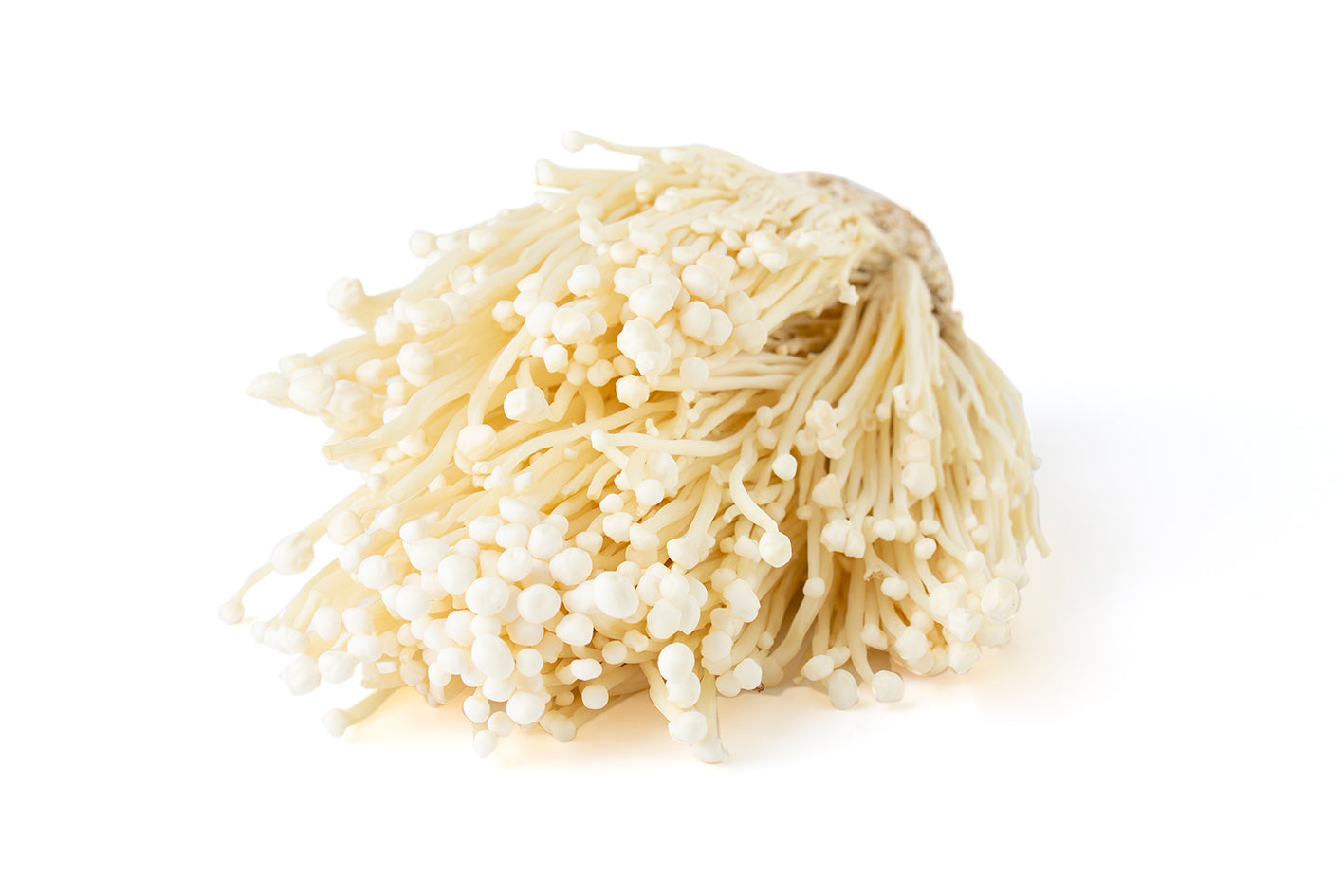 Enoki