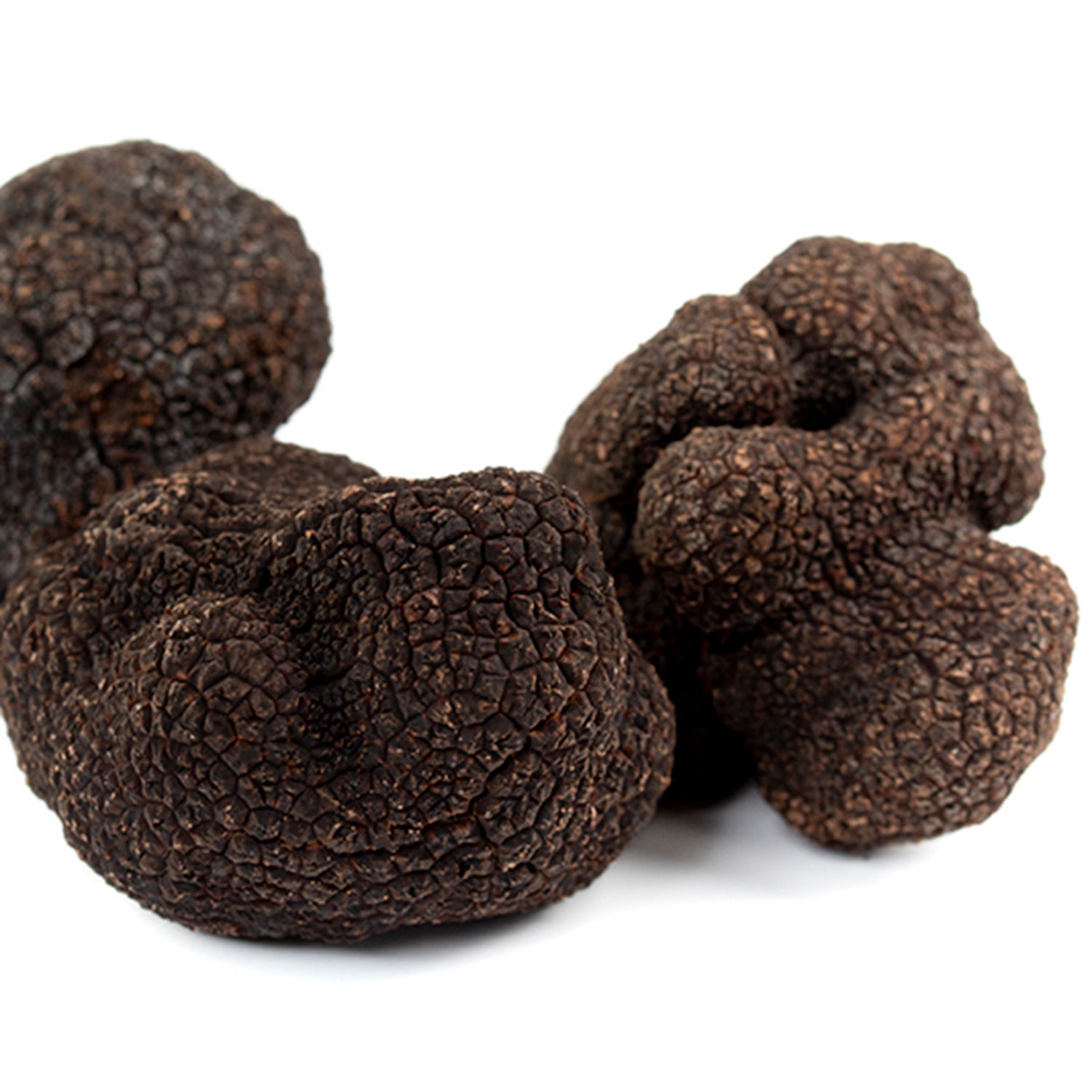 Trufa Negra (Tuber Melanosporum)