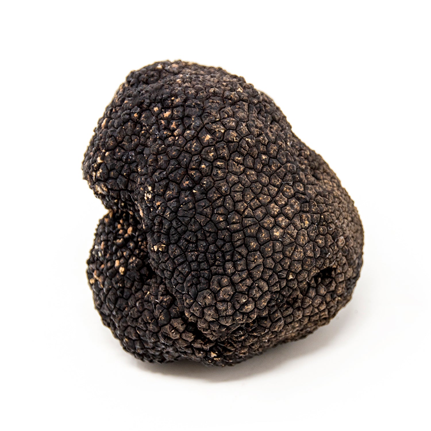 Trufa de Verano (Tuber Aestivum)